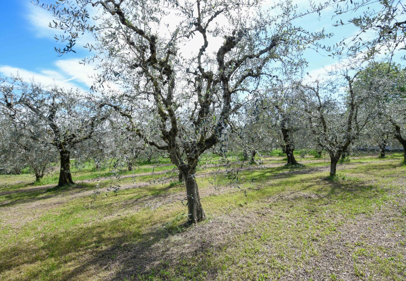 Farm stay in Polpenazze del Garda - Agriturismo Sentieri del Vino - Lago Lucone