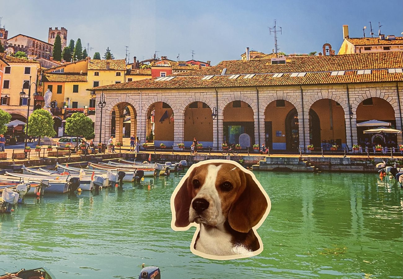 Appartamento a Desenzano del Garda - 61- GREEN LAKE STAR DOWNTOWN