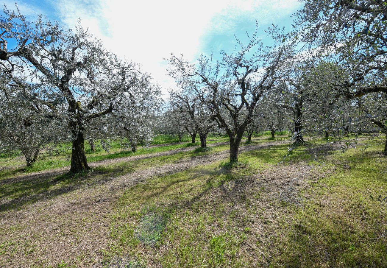 Agriturismo a Polpenazze del Garda - Agriturismo Sentieri del Vino - Lago Lucone